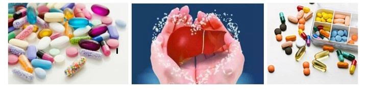 Natural Milk Thistle Extract Powder Application