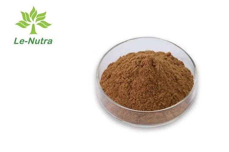 Rose Hip Extract Powder