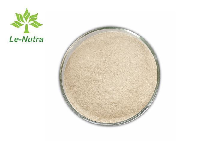 Serrapeptase Powder