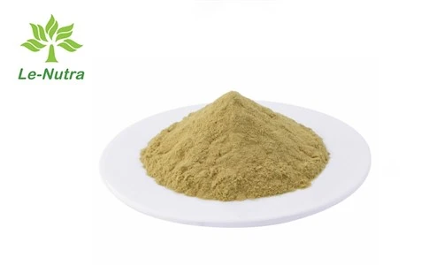 Serrapeptase-Enzym
