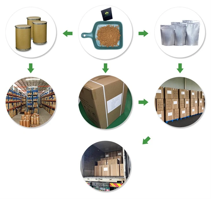 Magnolia Bark Powder factory
