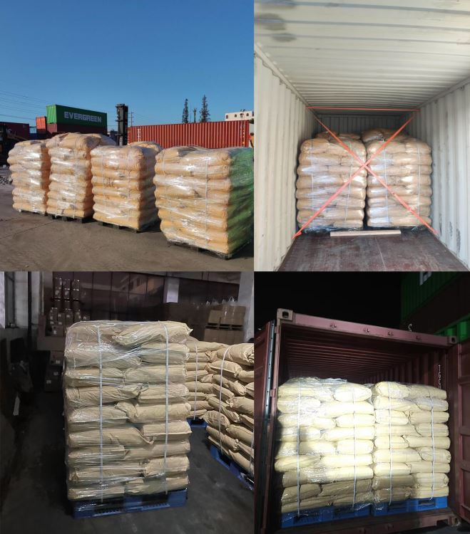 Organic Yucca Root Powder factory