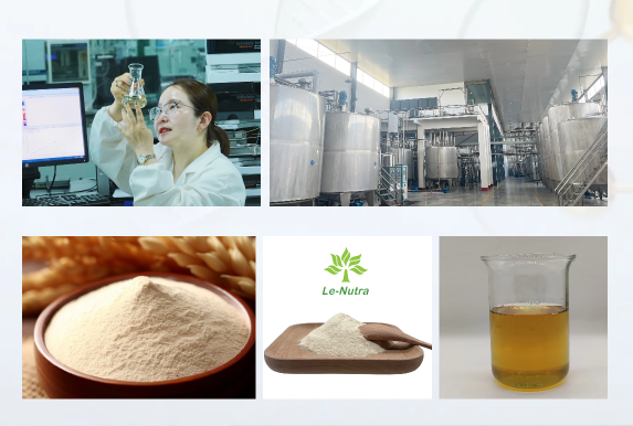 Pea Oligopeptide Powder