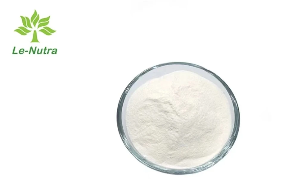 Buy Alpha GPC Powder