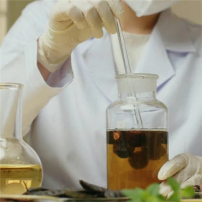 How To Extract Saponin From Soapnut? How To Extract Saponin From Soapnut?