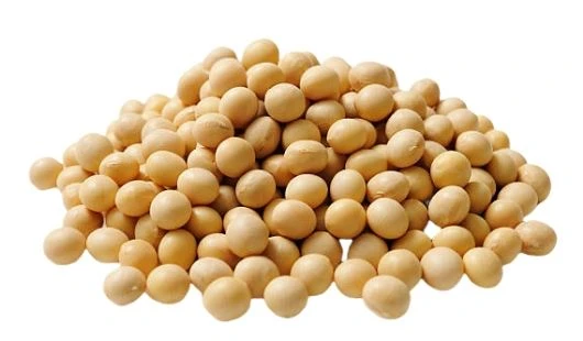 Soybean Peptides Powder