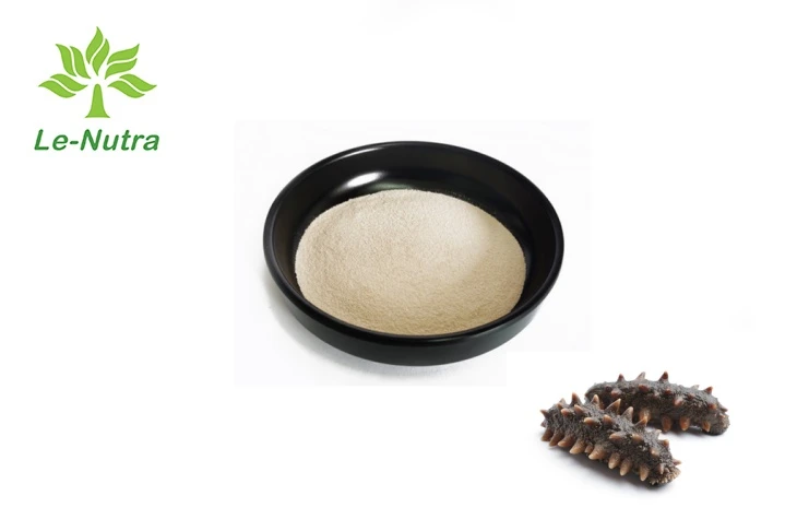 Sea Cucumber Peptide Powder