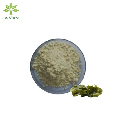 Fucoidan-Pulver
